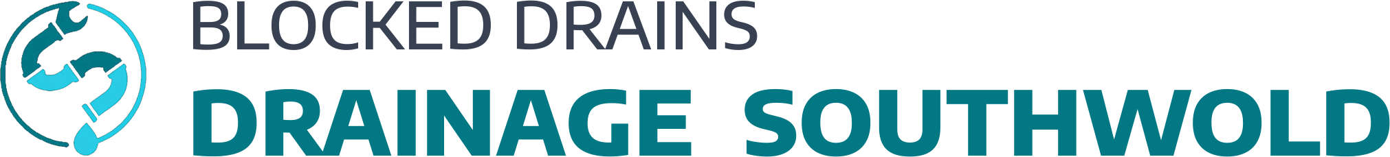 website logo